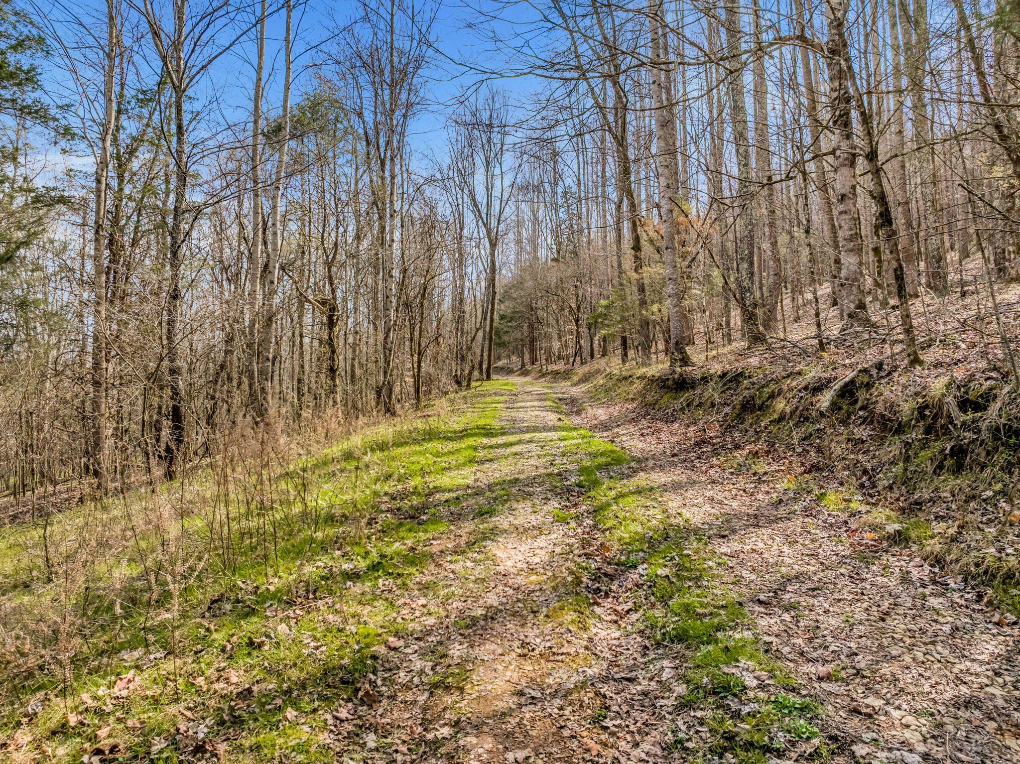 L&N Railroad, Frankewing, TN  38459