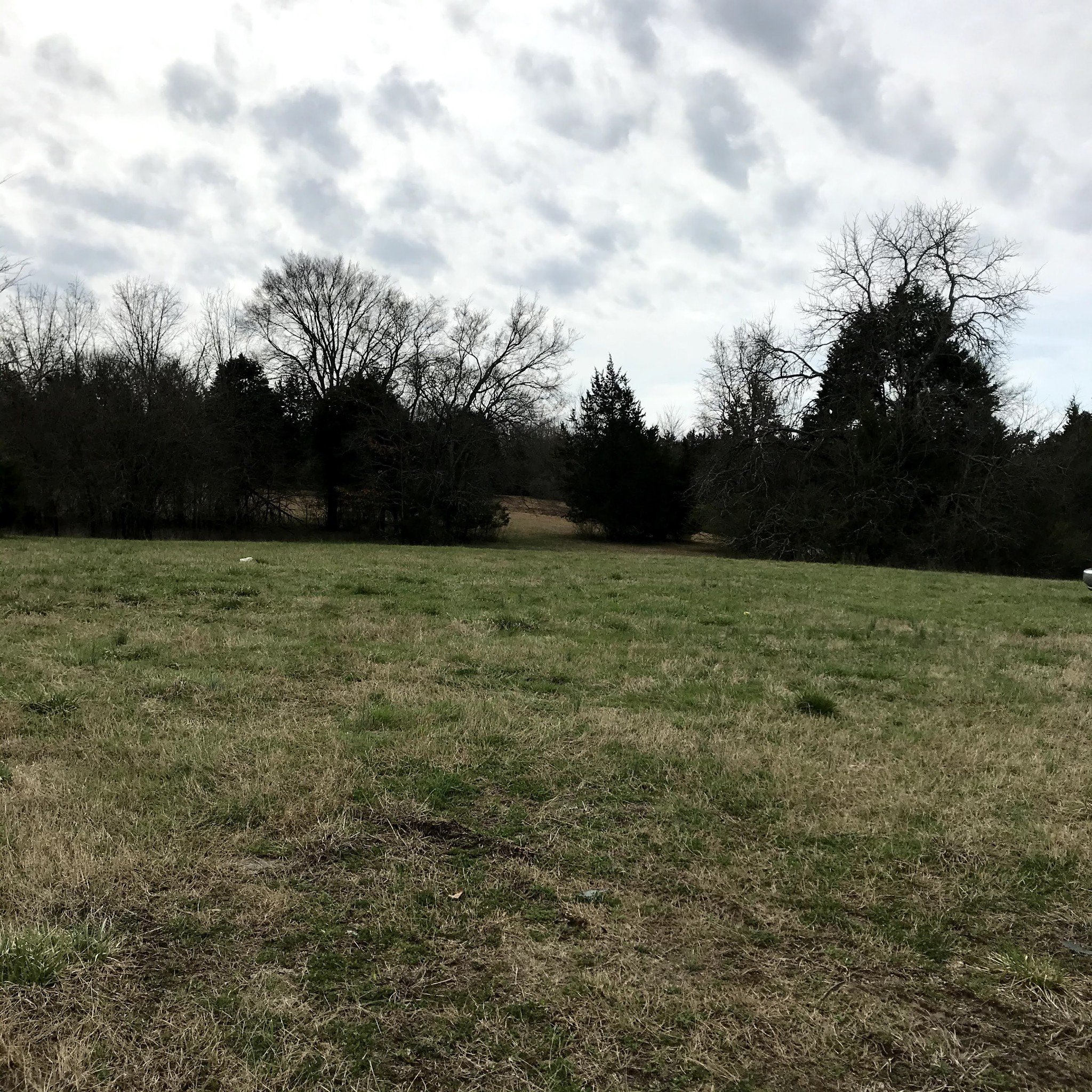 Finley Beech Rd, Lewisburg, TN  37091