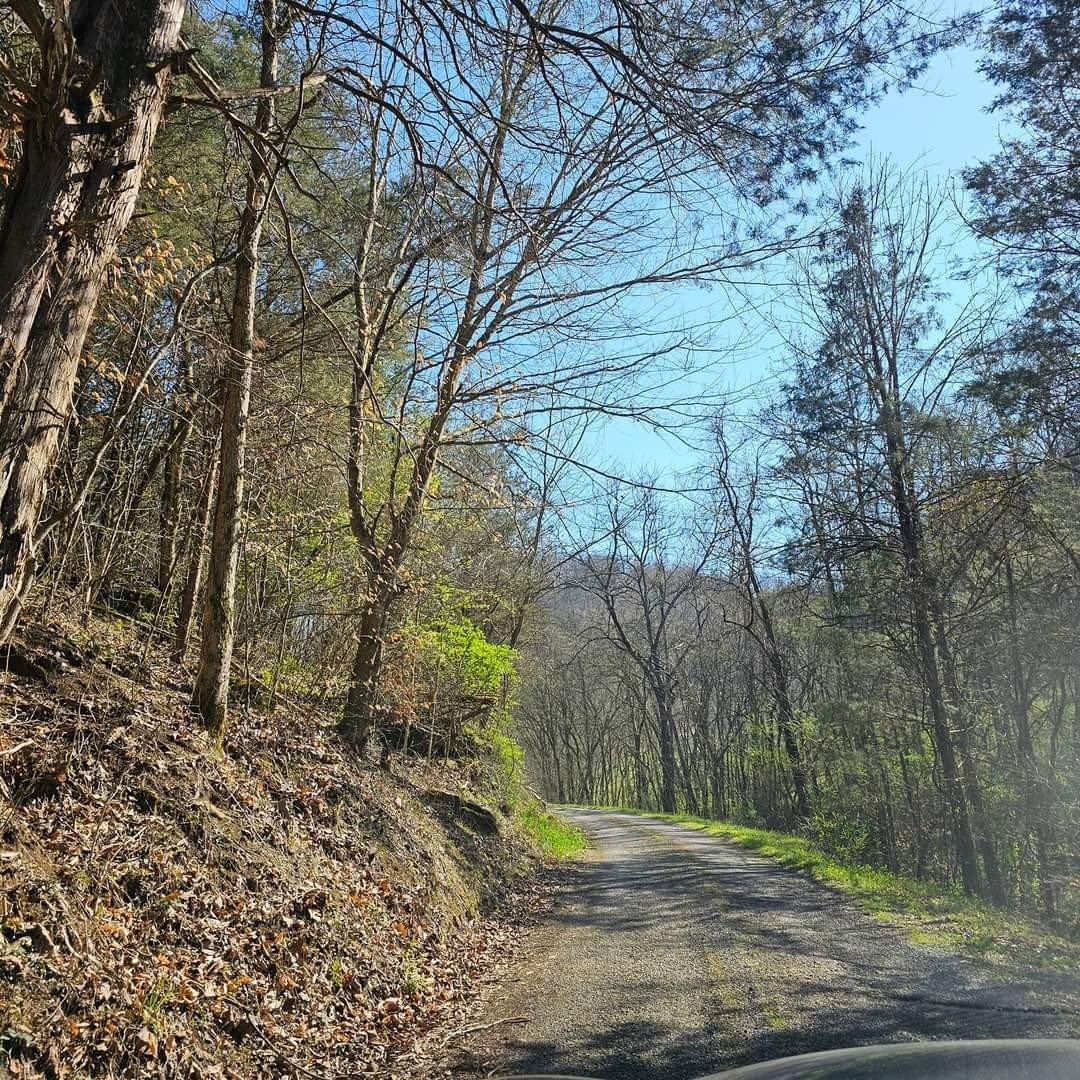 Big Hill Rd, Liberty, TN  37095