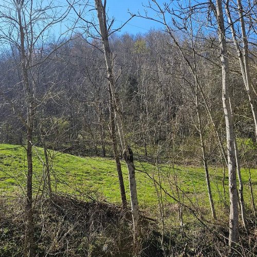 Big Hill Rd, Liberty, TN  37095