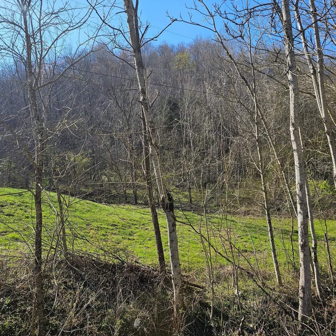 Big Hill Rd, Liberty, TN  37095