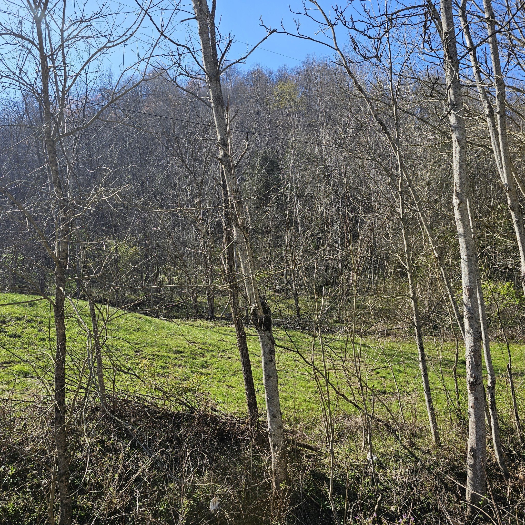 Big Hill Rd, Liberty, TN  37095