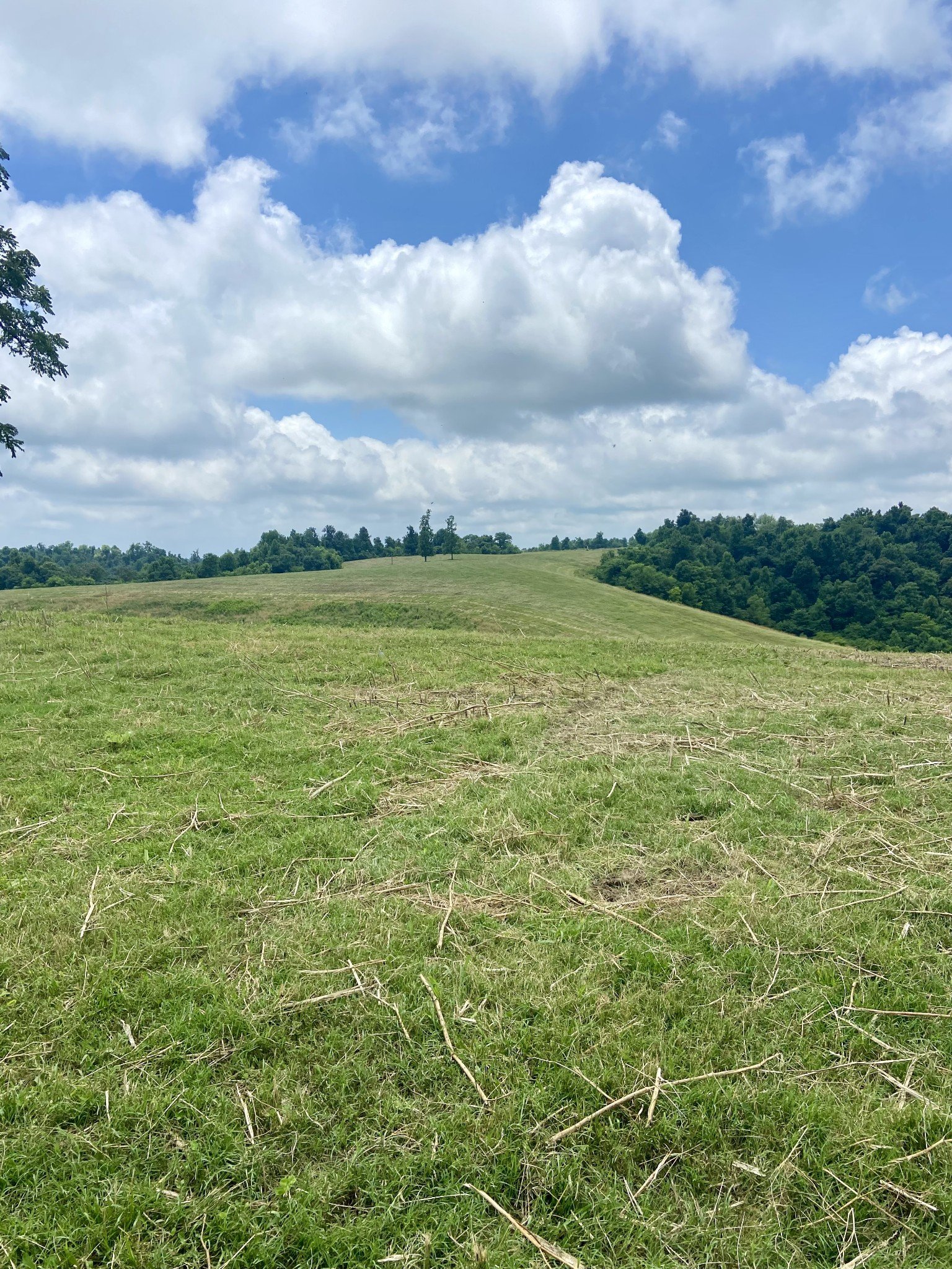 Foster Hollow Road, Petersburg, TN  37144