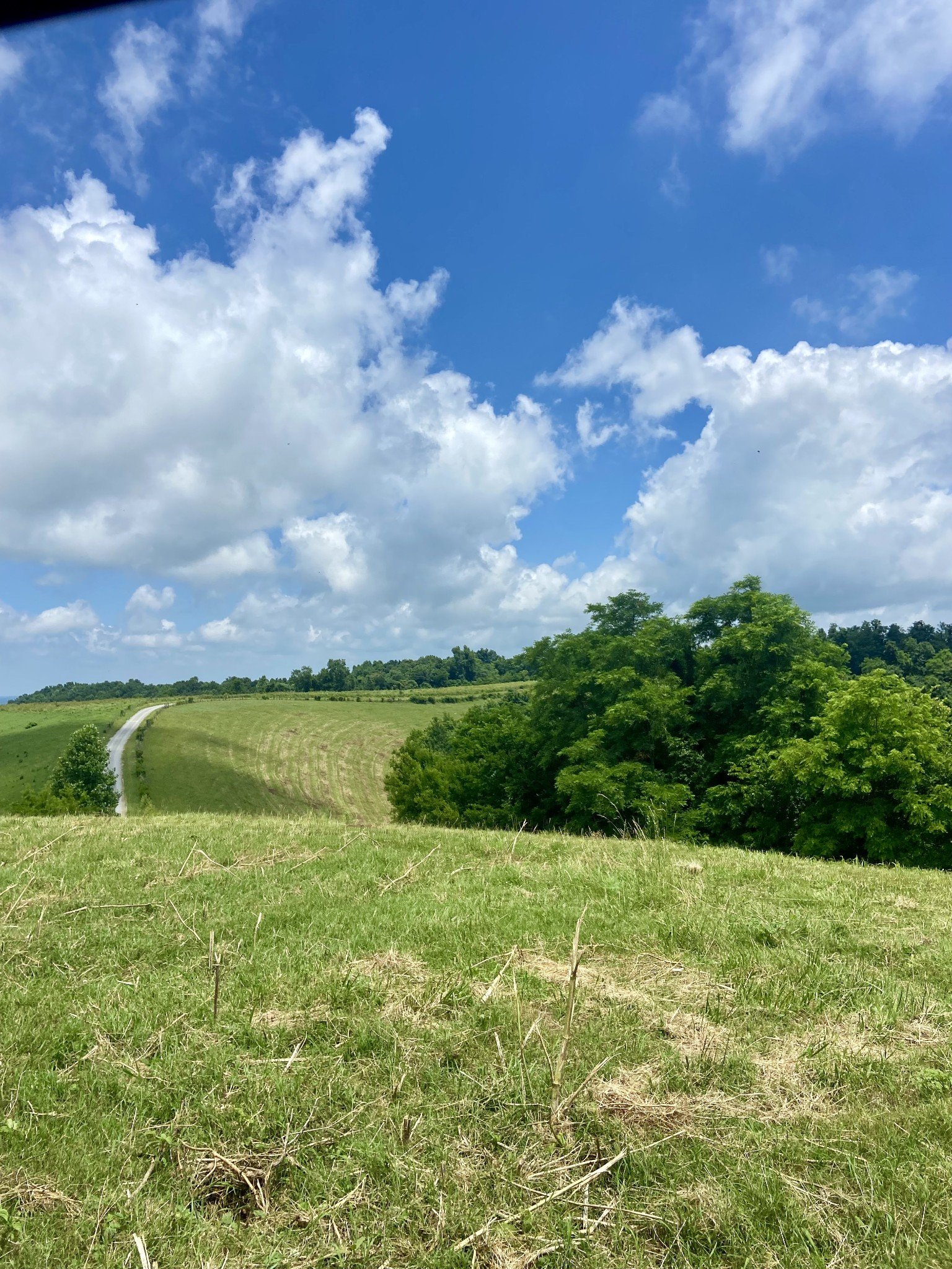 Foster Hollow Road, Petersburg, TN  37144