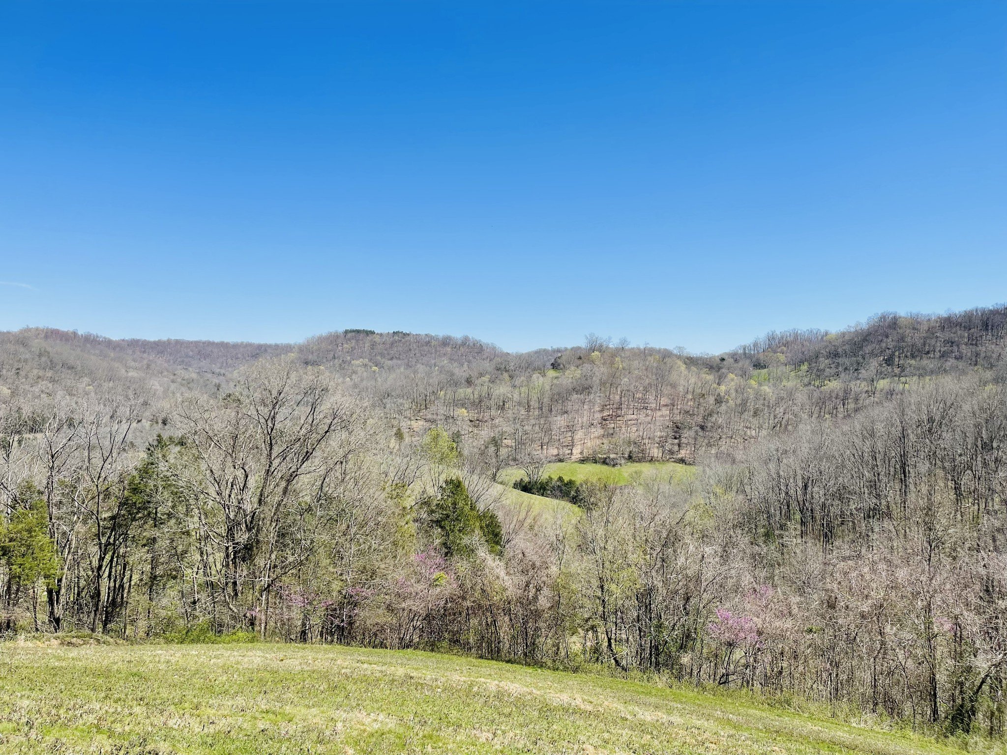 242 Whyte Tenpenny Rd, Woodbury, TN  37190