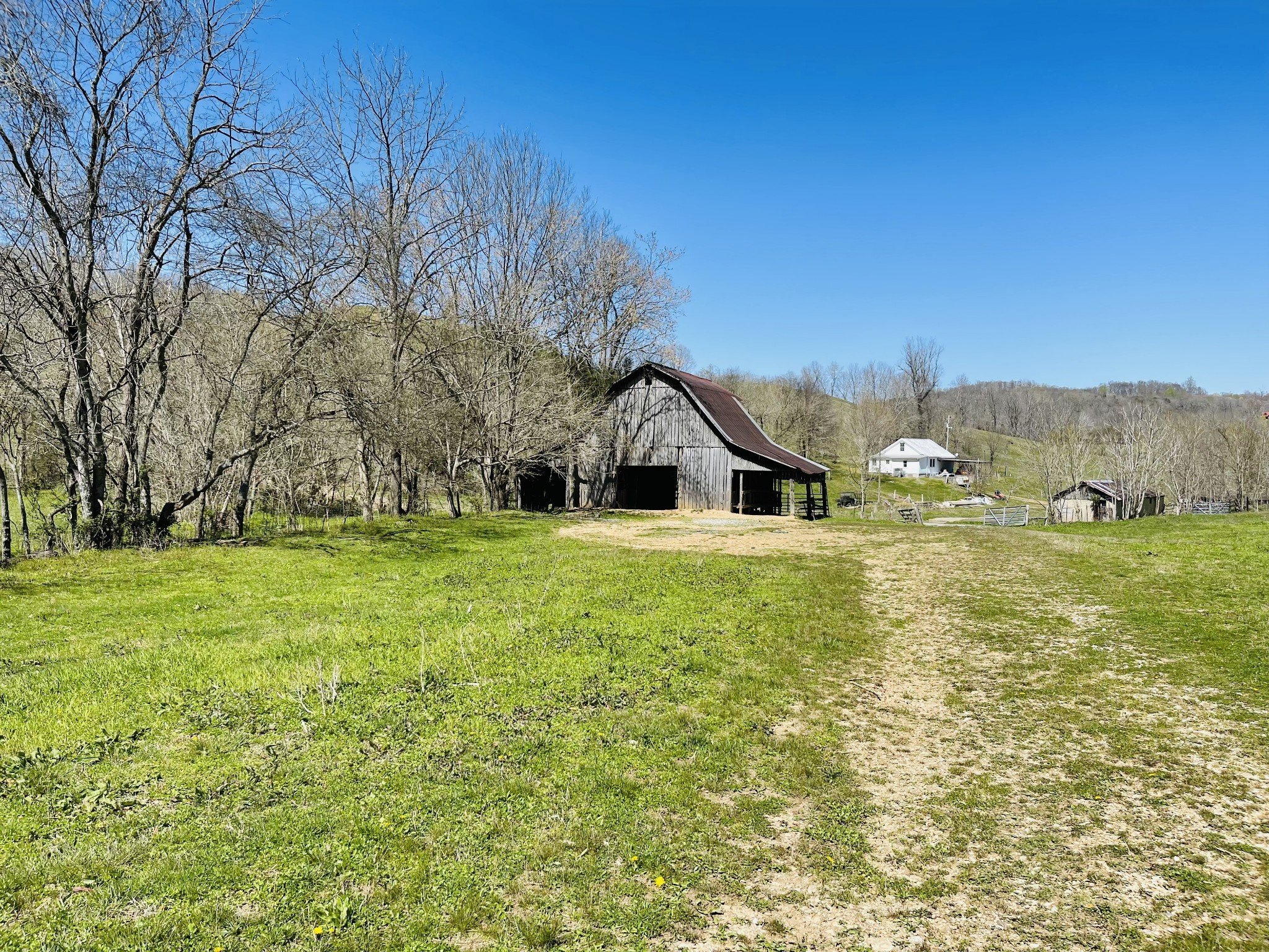 242 Whyte Tenpenny Rd, Woodbury, TN  37190