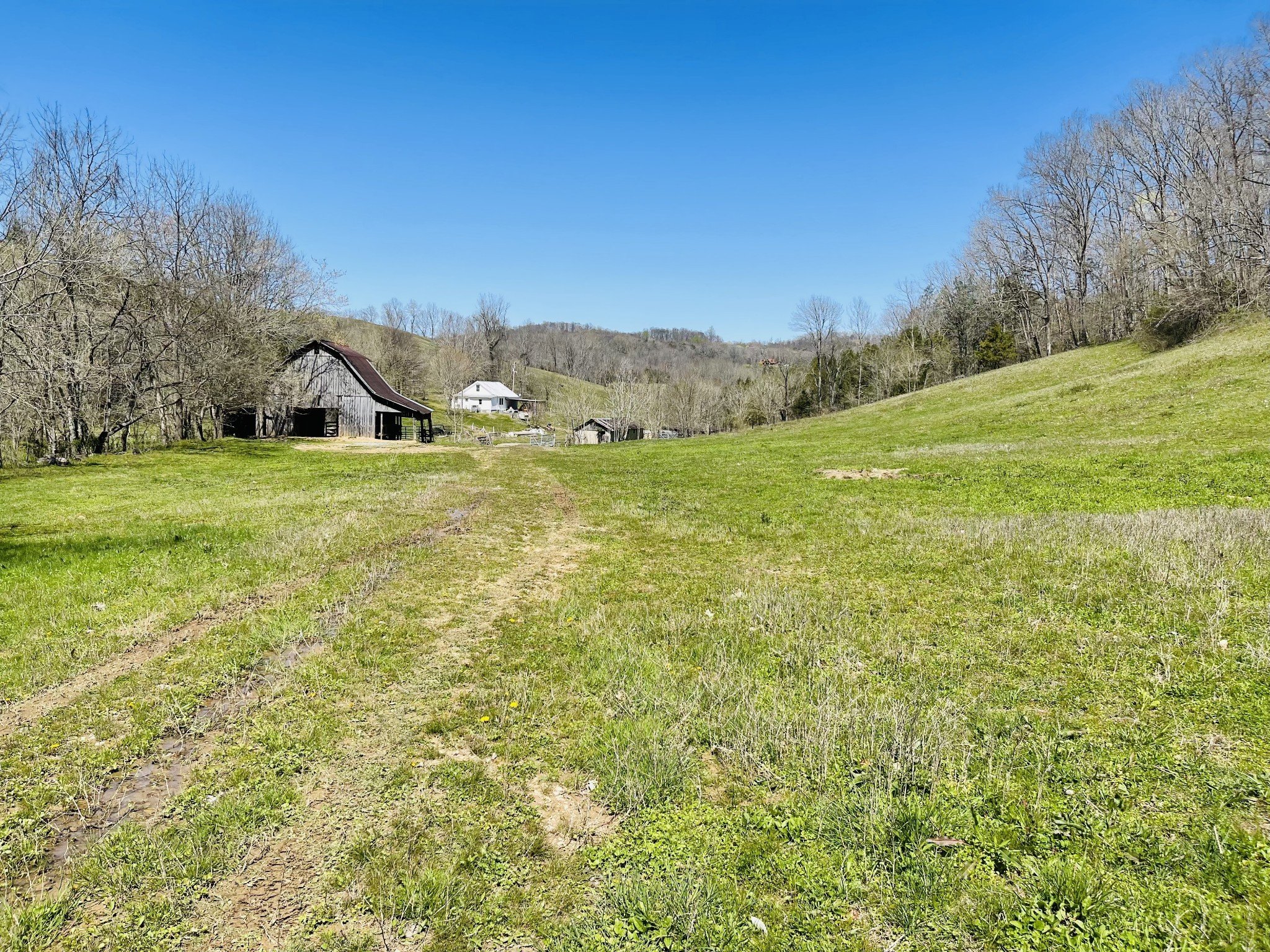 242 Whyte Tenpenny Rd, Woodbury, TN  37190