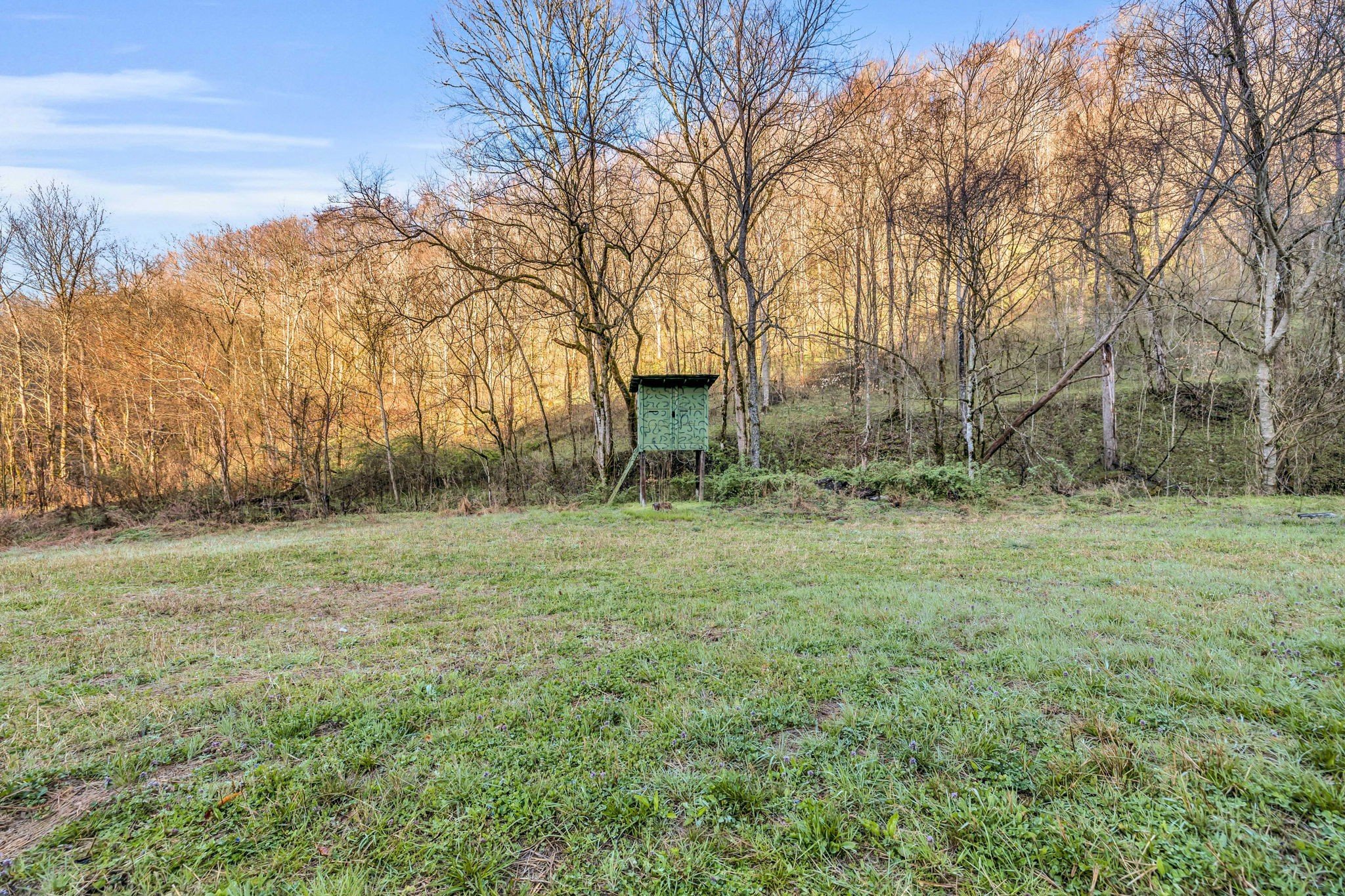 290 Hazel Huffines Ln, Whitleyville, TN  38588