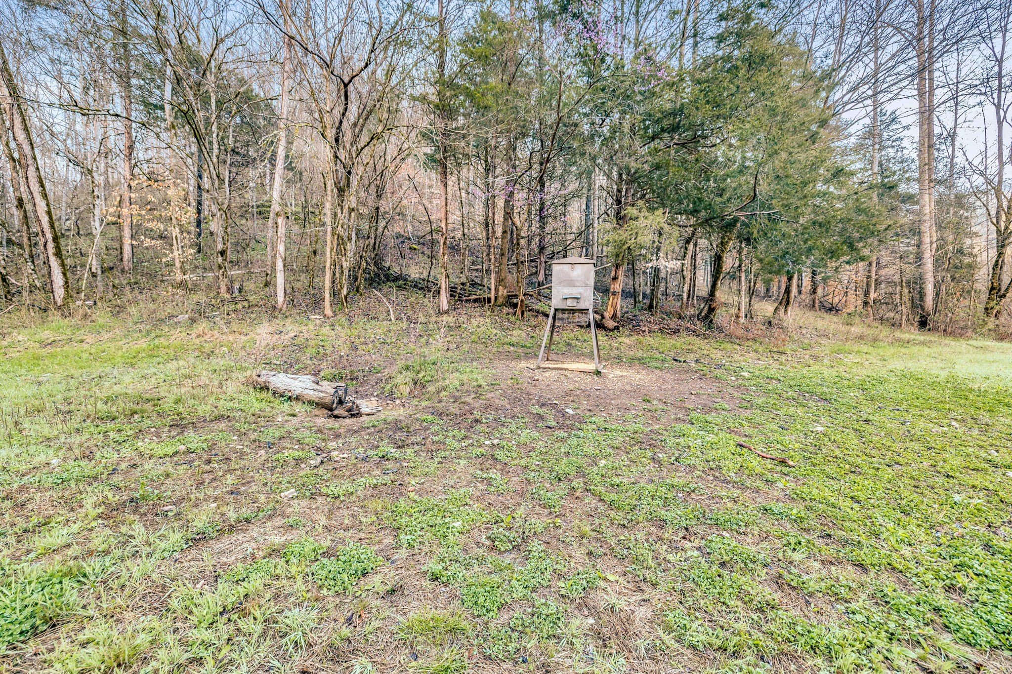 290 Hazel Huffines Ln, Whitleyville, TN  38588