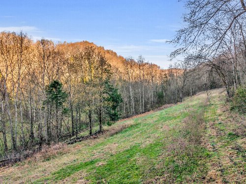 290 Hazel Huffines Ln, Whitleyville, TN  38588