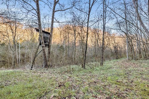 290 Hazel Huffines Ln, Whitleyville, TN  38588