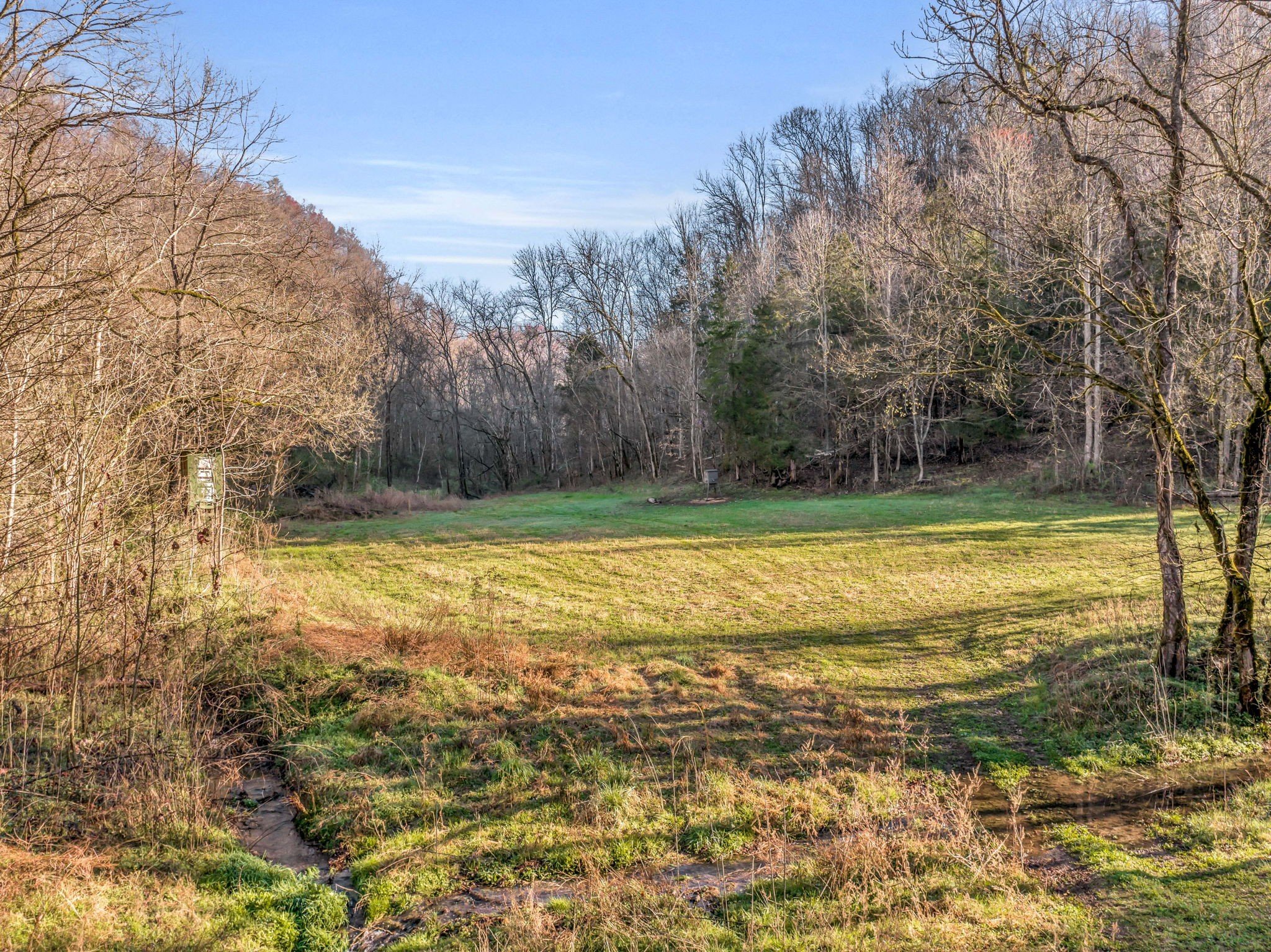 290 Hazel Huffines Ln, Whitleyville, TN  38588