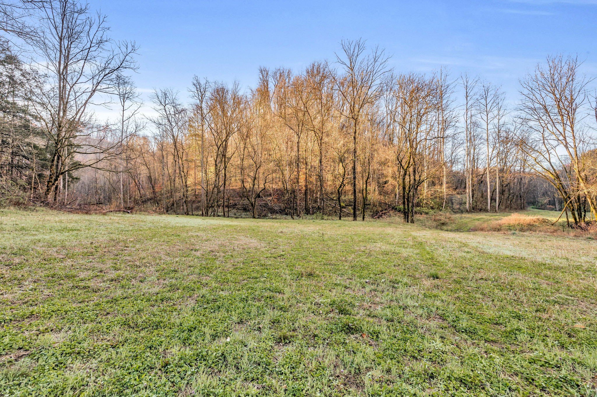 290 Hazel Huffines Ln, Whitleyville, TN  38588