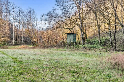 290 Hazel Huffines Ln, Whitleyville, TN  38588