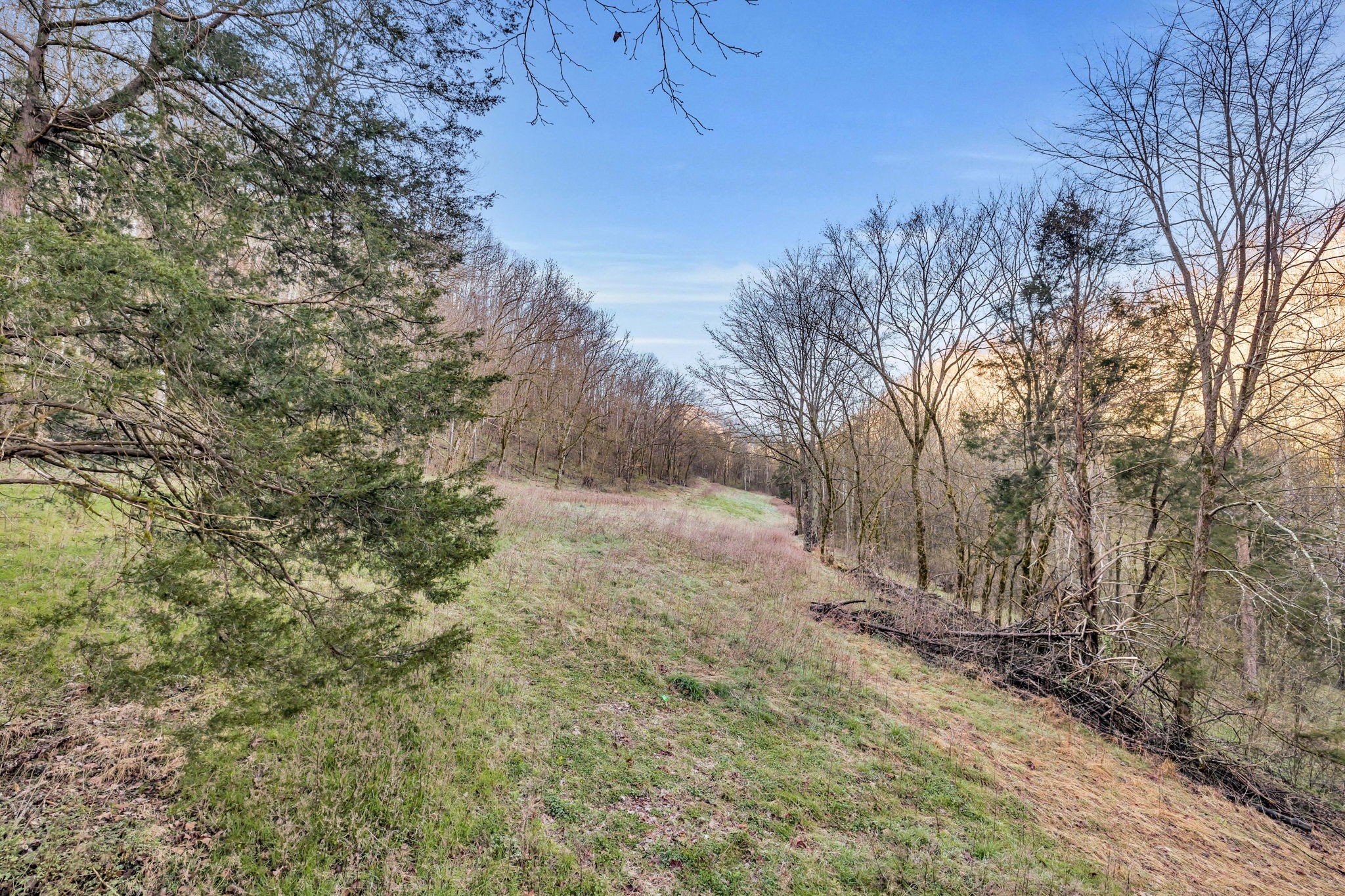 290 Hazel Huffines Ln, Whitleyville, TN  38588