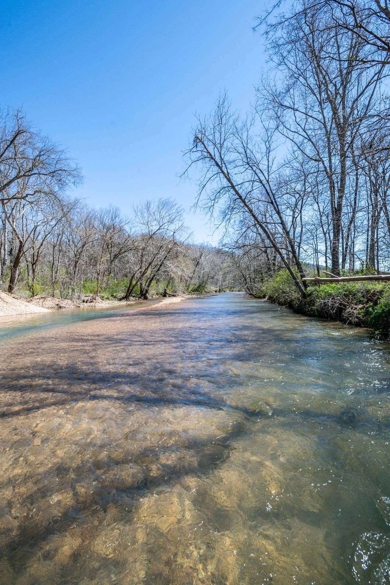 Phillips Chapel Road, Waynesboro, TN  38485