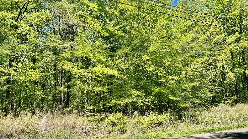 Mt Pleasant Rd, Kingston Springs, TN  37082