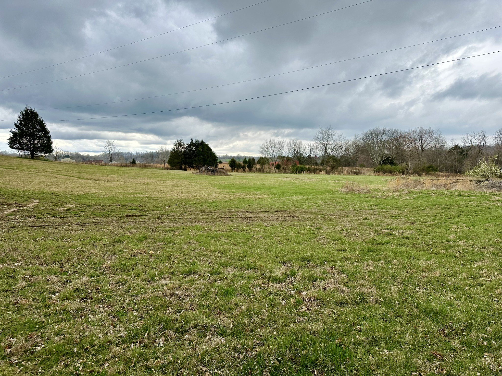 401 N Jones Rd, Portland, TN  37148