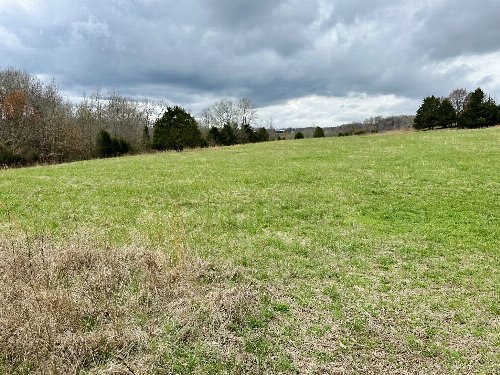 401 N Jones Rd, Portland, TN  37148