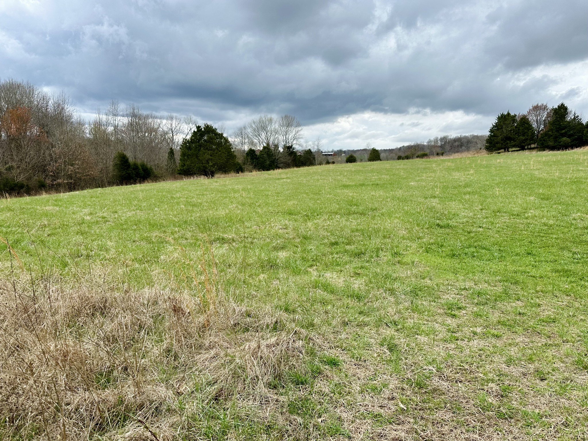 401 N Jones Rd, Portland, TN  37148