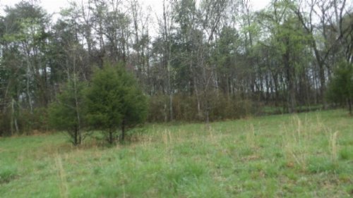 Denton Rd, Moss, TN  38575