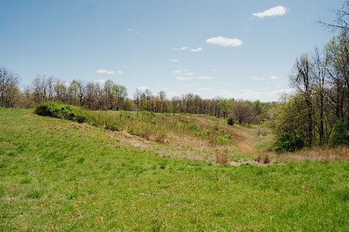 925 Cleve Duke Rd, Hornbeak, TN  38232