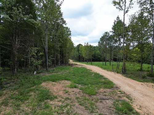 Birdsong Rd, Holladay, TN  38341