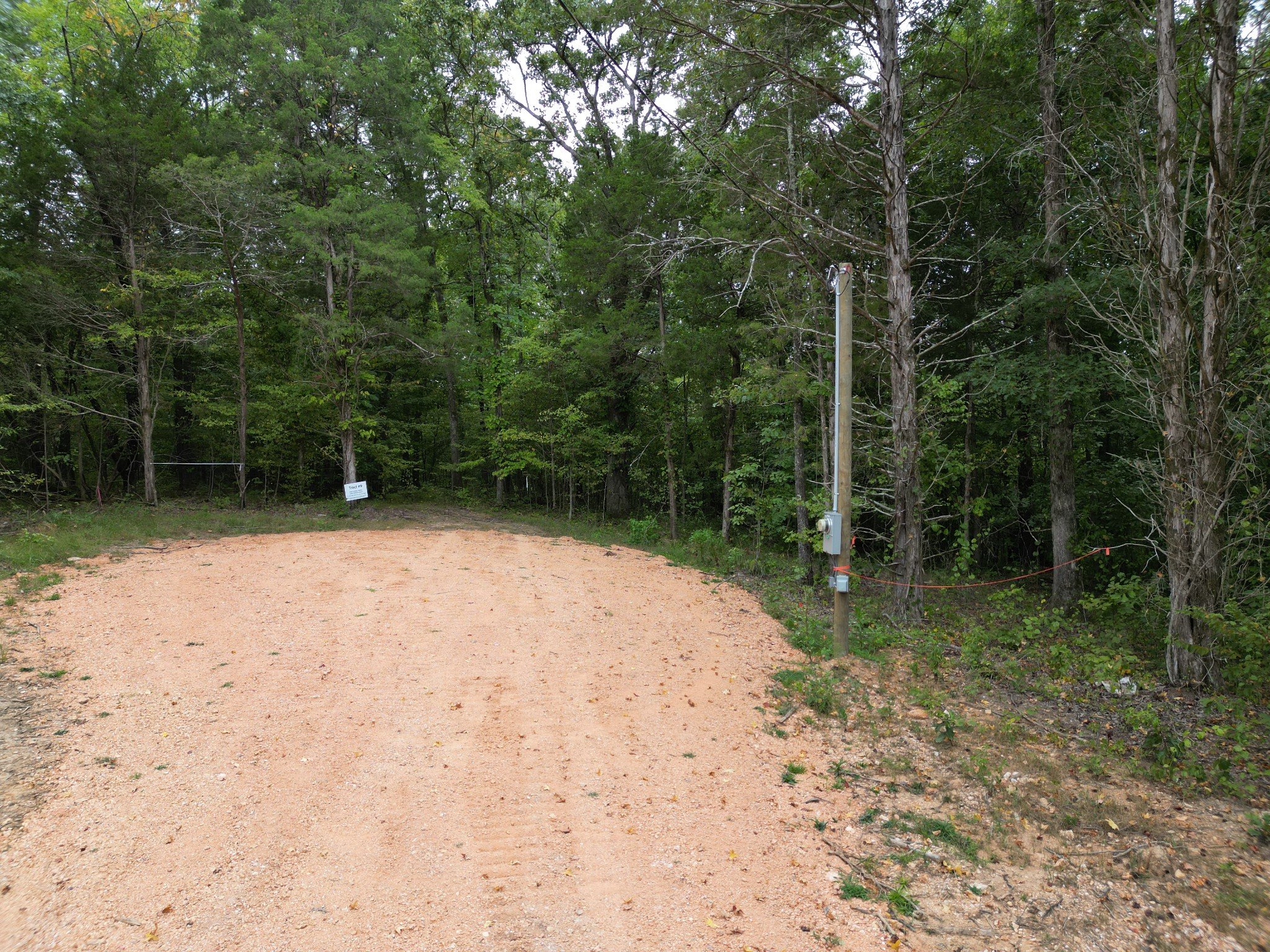 Birdsong Rd, Holladay, TN  38341