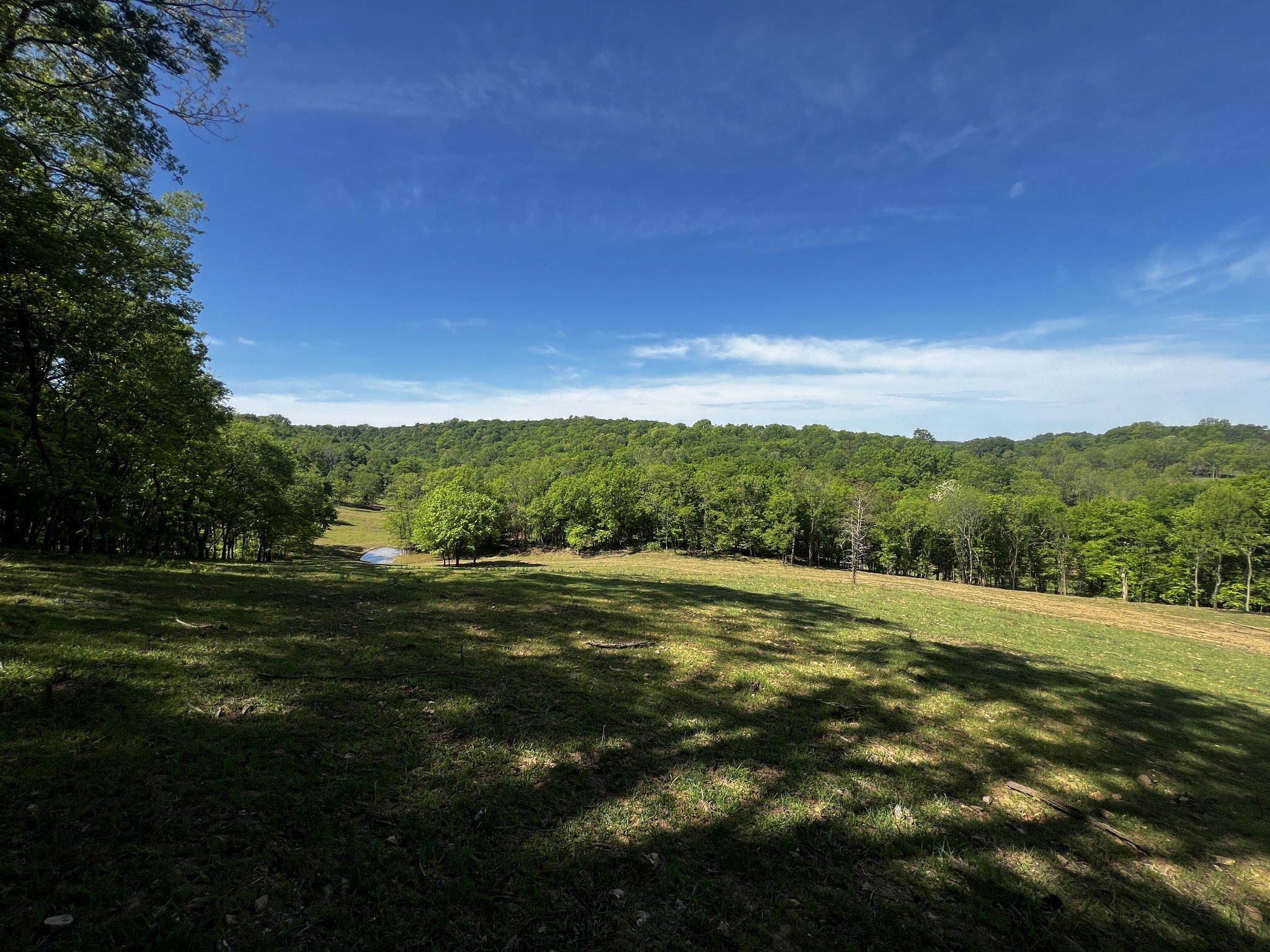 Moore Ln, Culleoka, TN  38451