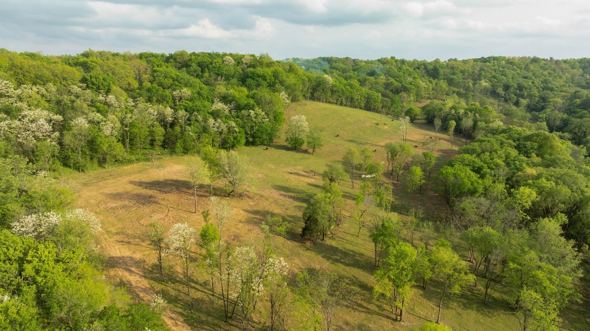 Moore Ln, Culleoka, TN  38451