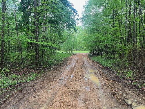 Birdsong Rd, Holladay, TN  38341