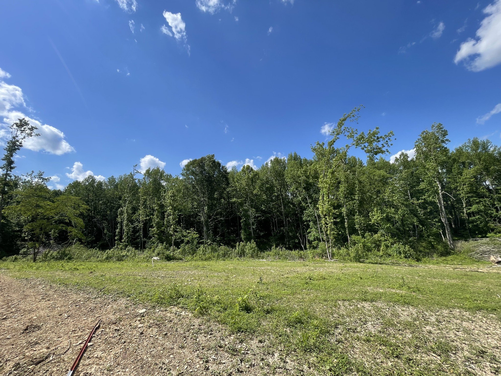 Maxwell Hill Rd, Pulaski, TN  38478