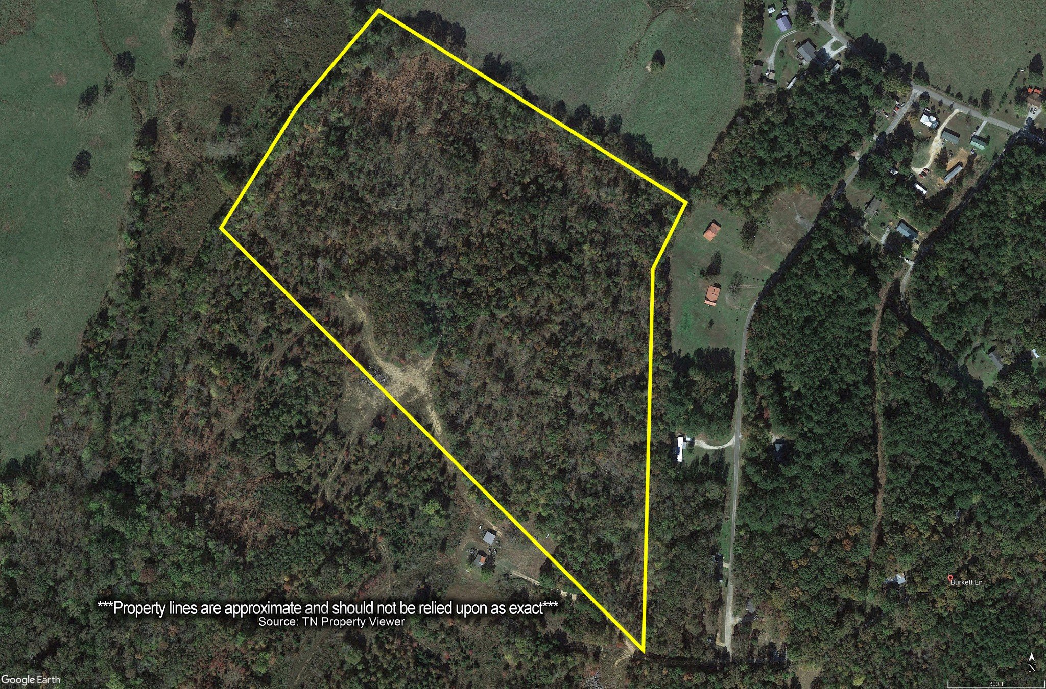 Burkett Ln, Wildersville, TN  38388