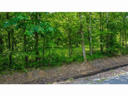 Caldwell Road, Puryear, TN  38251