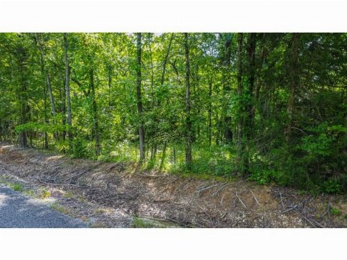 Caldwell Road, Puryear, TN  38251