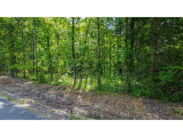 Caldwell Road, Puryear, TN  38251