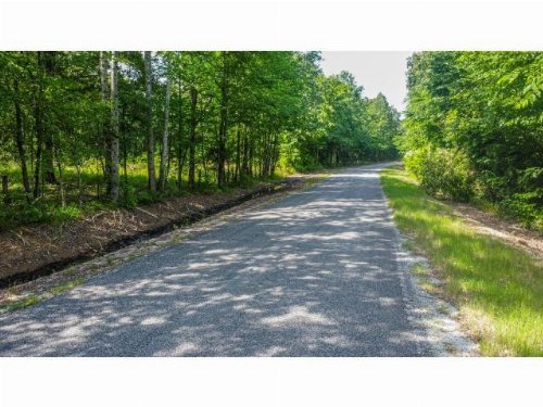 Caldwell Road, Puryear, TN  38251