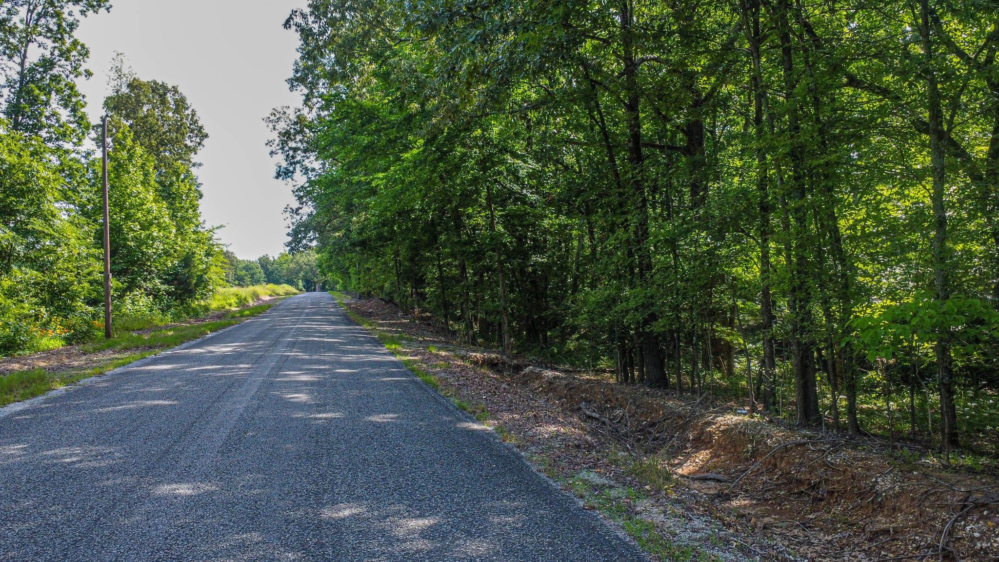 Caldwell Road, Puryear, TN  38251