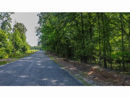 Caldwell Road, Puryear, TN  38251