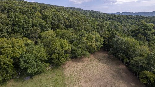 Badger Ln, Carthage, TN  37030