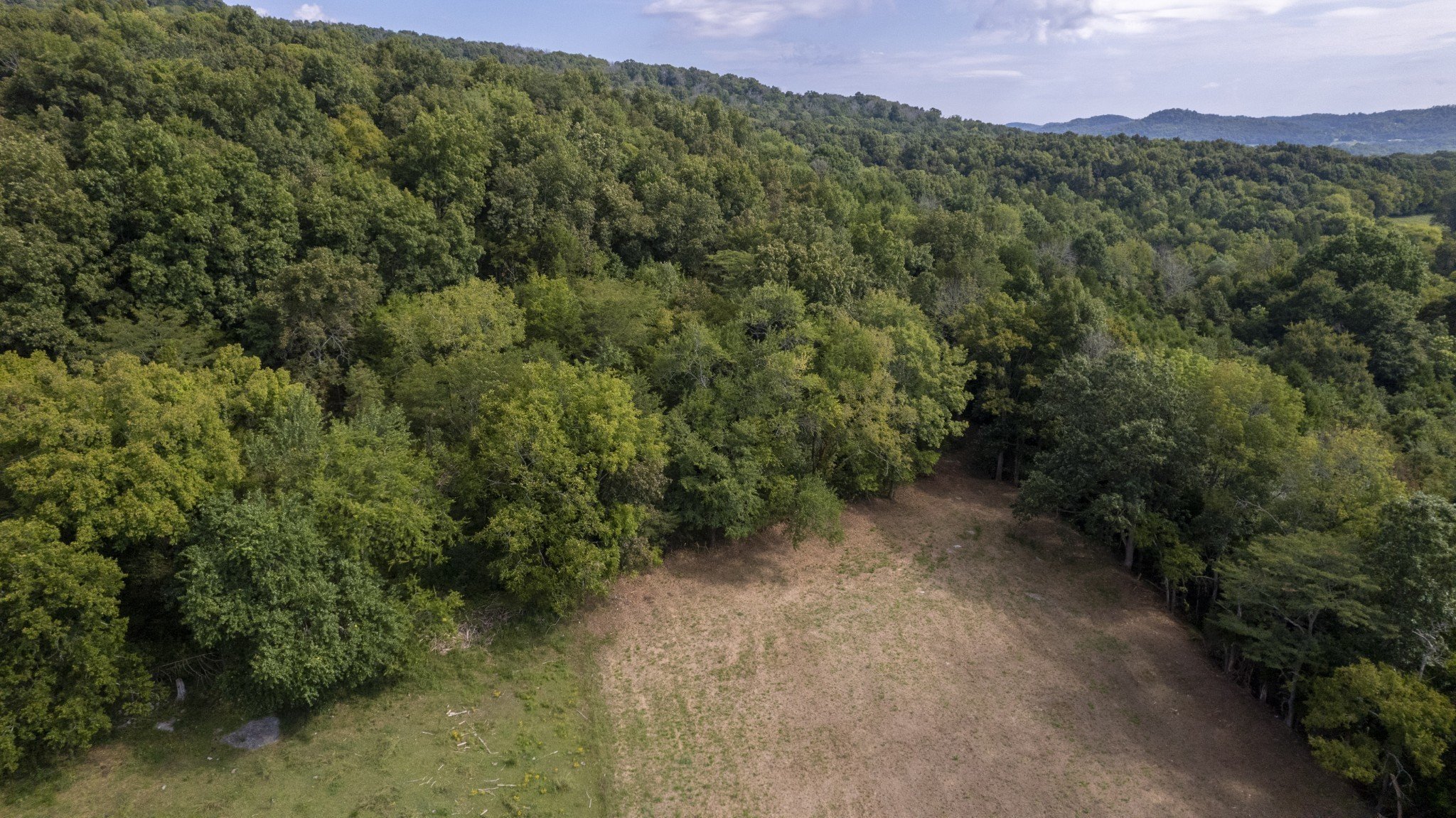 Badger Ln, Carthage, TN  37030