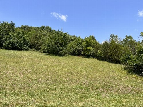 3367 Booker Ridge Rd, Mount Pleasant, TN  38474