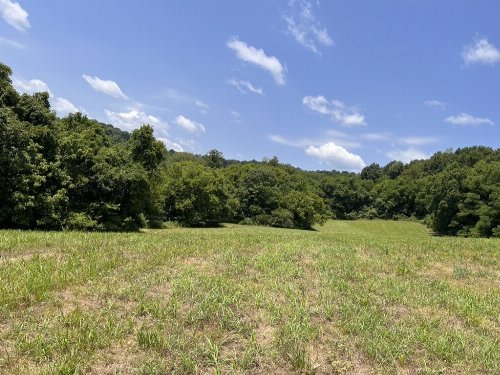 3367 Booker Ridge Rd, Mount Pleasant, TN  38474