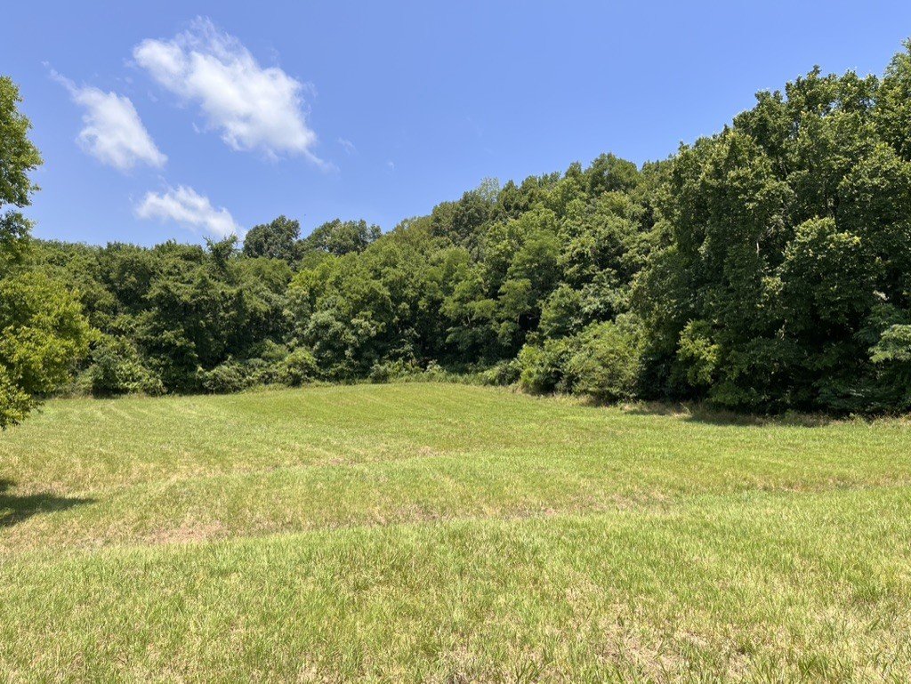 3367 Booker Ridge Rd, Mount Pleasant, TN  38474