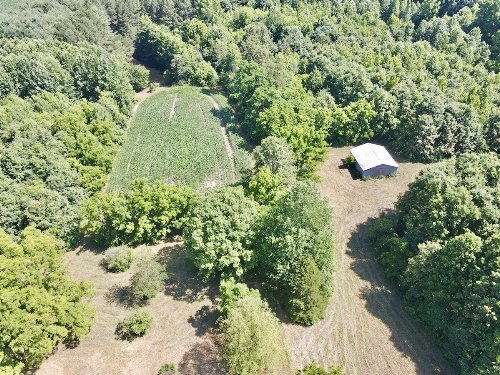 527 Lon Goff Rd, Mc Minnville, TN  37110