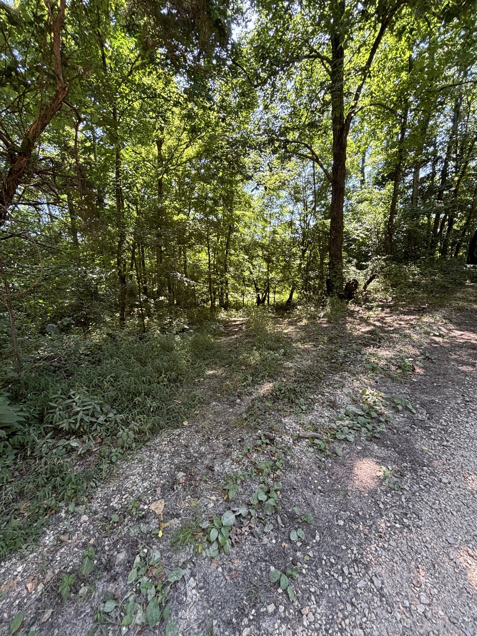 Deer Creek, MC EWEN, TN  37101