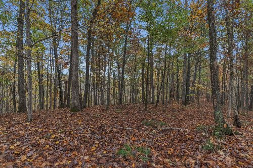 Higdon Rd, Joelton, TN  37080