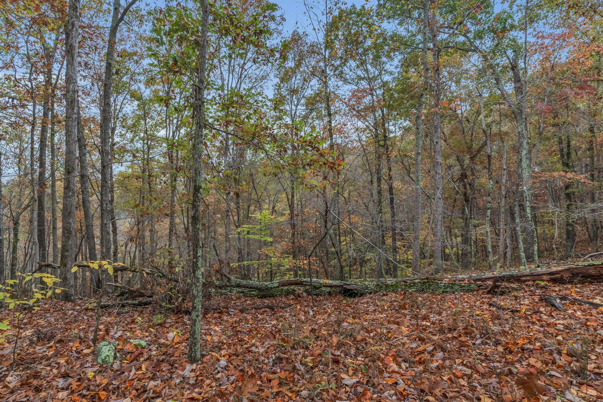 Higdon Rd, Joelton, TN  37080