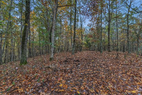 Higdon Rd, Joelton, TN  37080