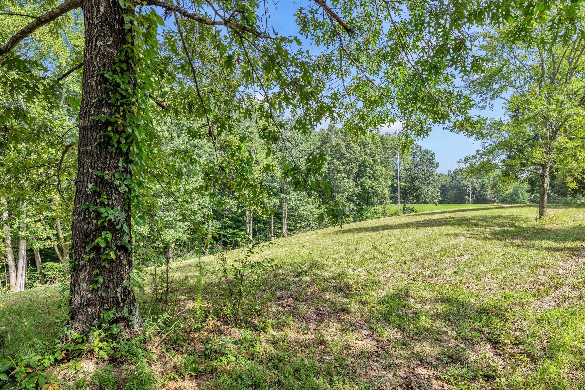 4654 McClanahan Rd, Hampshire, TN  38461